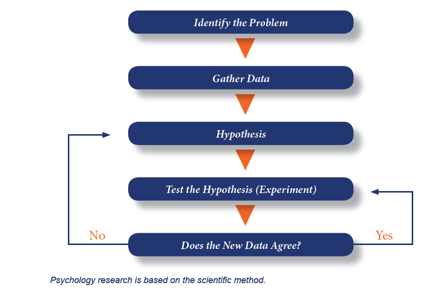 Lesson Idea: Intro To The Scientific Method In Psychology | IB Psychology